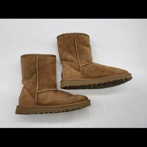 Chestnut Ugg size 7